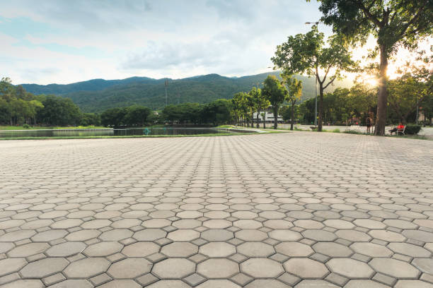 Best Custom Driveway Pavers  in Unadilla, GA